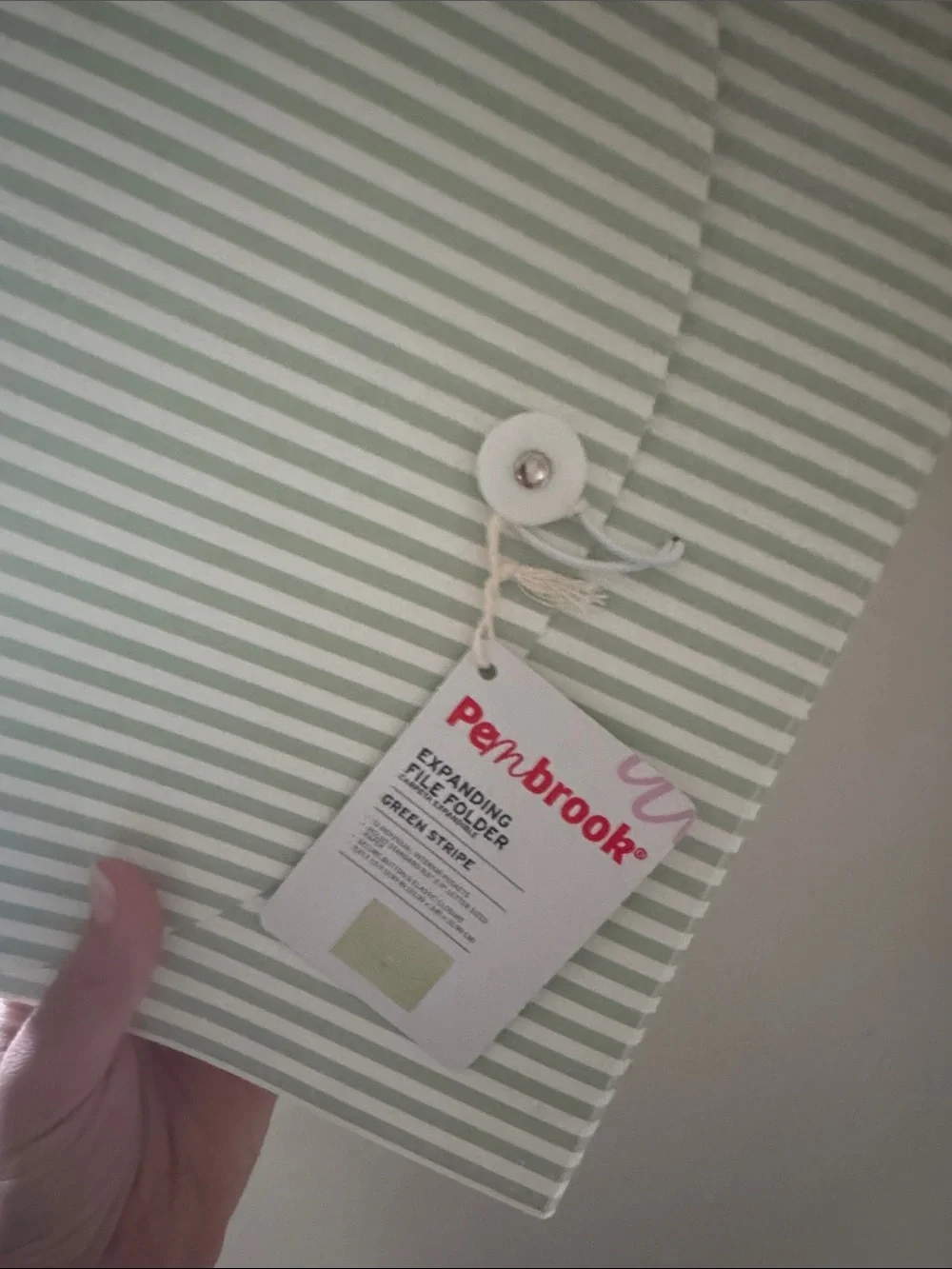Striped Sage Green Document Envelope with Button-String Closure